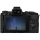 Цифровой фотоаппарат OLYMPUS E-M5 mark II Pancake Zoom 14-42 Kit black/black (V207044BE000)
