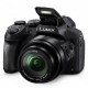 Цифровой фотоаппарат PANASONIC DMC-FZ300 (DMC-FZ300EEK) Цифровой фотоаппарат PANASONIC DMC-FZ300 (DMC-FZ300EEK)