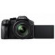 Цифровой фотоаппарат PANASONIC DMC-FZ300 (DMC-FZ300EEK) Цифровой фотоаппарат PANASONIC DMC-FZ300 (DMC-FZ300EEK)