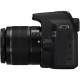 Цифровой фотоаппарат Canon EOS 1200D EF-S 18-55 DC III+ EF 50 1.8 STM (9127B131AA) Цифровой фотоаппарат Canon EOS 1200D EF-S 18-55 DC III+ EF 50 1.8 STM (9127B131AA)