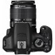 Цифровой фотоаппарат Canon EOS 1200D EF-S 18-55 DC III+ EF 50 1.8 STM (9127B131AA) Цифровой фотоаппарат Canon EOS 1200D EF-S 18-55 DC III+ EF 50 1.8 STM (9127B131AA)