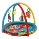 Детский коврик Playgro Развивающий коврик-бассейн (184007) Детский коврик Playgro Развивающий коврик-бассейн (184007)
