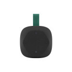 Акустическая система Canyon HEXAGON 10 Black/Green (CNE-CBTSP10BG)