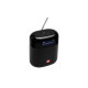 Акустическая система JBL Tuner XL FM Black (JBLTUNERXLBLKEUNA)