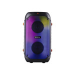 Акустическая система Defender Boomer 25 Black (65425)