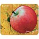 Килимок для мишки Defender Sticker Juicy pad (50412)