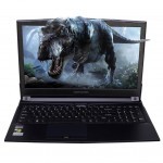 Ноутбук Dream Machines Clevo G1060-15 (G1060-15UA33) EU Ноутбук Dream Machines Clevo G1060-15 (G1060-15UA33) EU