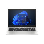 Ноутбук HP 245 G10 (8A552EA) EU