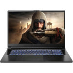 Ноутбук Dream Machines RG4070-17 (RG4070-17UA43) EU