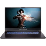 Ноутбук Dream Machines RG2050-17 (RG2050-17UA22) EU Ноутбук Dream Machines RG2050-17 (RG2050-17UA22) EU