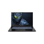 Ноутбук Dream Machines RG5050-17 (RG5050-17UA25) EU
