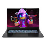 Ноутбук Dream Machines RG5070-17 (RG5070-17UA24) EU Ноутбук Dream Machines RG5070-17 (RG5070-17UA24) EU