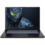 Ноутбук Dream Machines RG5050-17 (RG5050-17UA31) EU