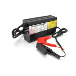 Сетевое зарядное устройство для АКБ Voltronic LiFePO4 24V(29.2V), 8S, 10A (24V(29,2V)-10A-240W) Сетевое зарядное устройство для АКБ Voltronic LiFePO4 24V(29.2V), 8S, 10A (24V(29,2V)-10A-240W)