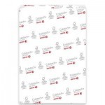 Бумага XEROX A4 COLOTECH + SILK (003R90355) Бумага XEROX A4 COLOTECH + SILK (003R90355)