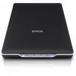 Сканер Epson Perfection V19 (B11B231401)