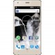 Мобильный телефон Assistant AS-5412 Max Gold (0873293011387)