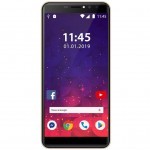 Мобільний телефон Assistant AS-601L Gold (О873293012452)