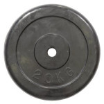 Диск для штанги HSF R-20 Диск для штанги HSF R-20