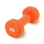 Гантель PowerPlay PP_4103 вінілова 1 кг Помаранчева (PP_4103_1kg) Гантель PowerPlay PP_4103 вінілова 1 кг Помаранчева (PP_4103_1kg)