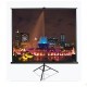 Проекционный экран T100UWH ELITE SCREENS
