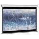 Проекционный экран M100NWV1 ELITE SCREENS
