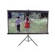 Проекционный экран T136NWS1 ELITE SCREENS