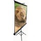 Проекционный экран T100UWV1 ELITE SCREENS