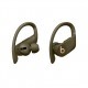 Беспроводные наушники Apple Powerbeats Pro Totally Wireless Earphones Moss (MV712) Беспроводные наушники Apple Powerbeats Pro Totally Wireless Earphones Moss (MV712)