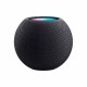 Портативная акустика Apple Homepod mini Space Grey (2020)