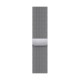 Смарт-часы Apple Watch Series 9 GPS + LTE 45mm Silver Stainless Steel Case with Silver Milanese Loop (MRMQ3)